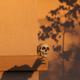 Illustration for article titled Shooting Challenge: 100 2